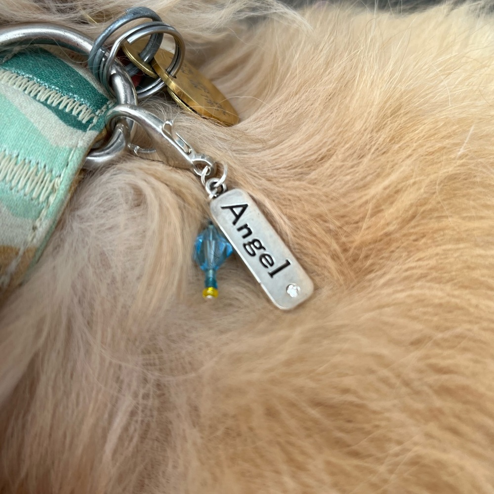 🐾Angel pet charm